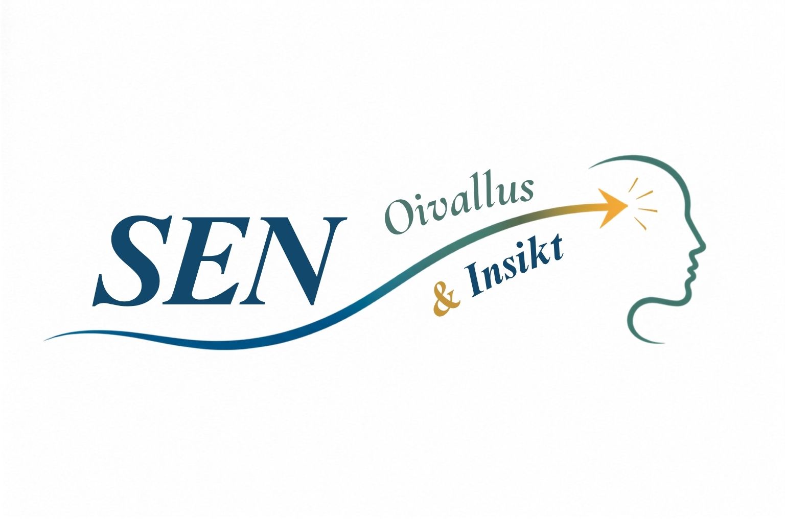 SEN Oivallus & Insikt